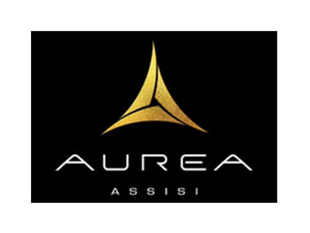 One of our clients: aurea assisi e commerce of liturgical vestments and accessories for the church